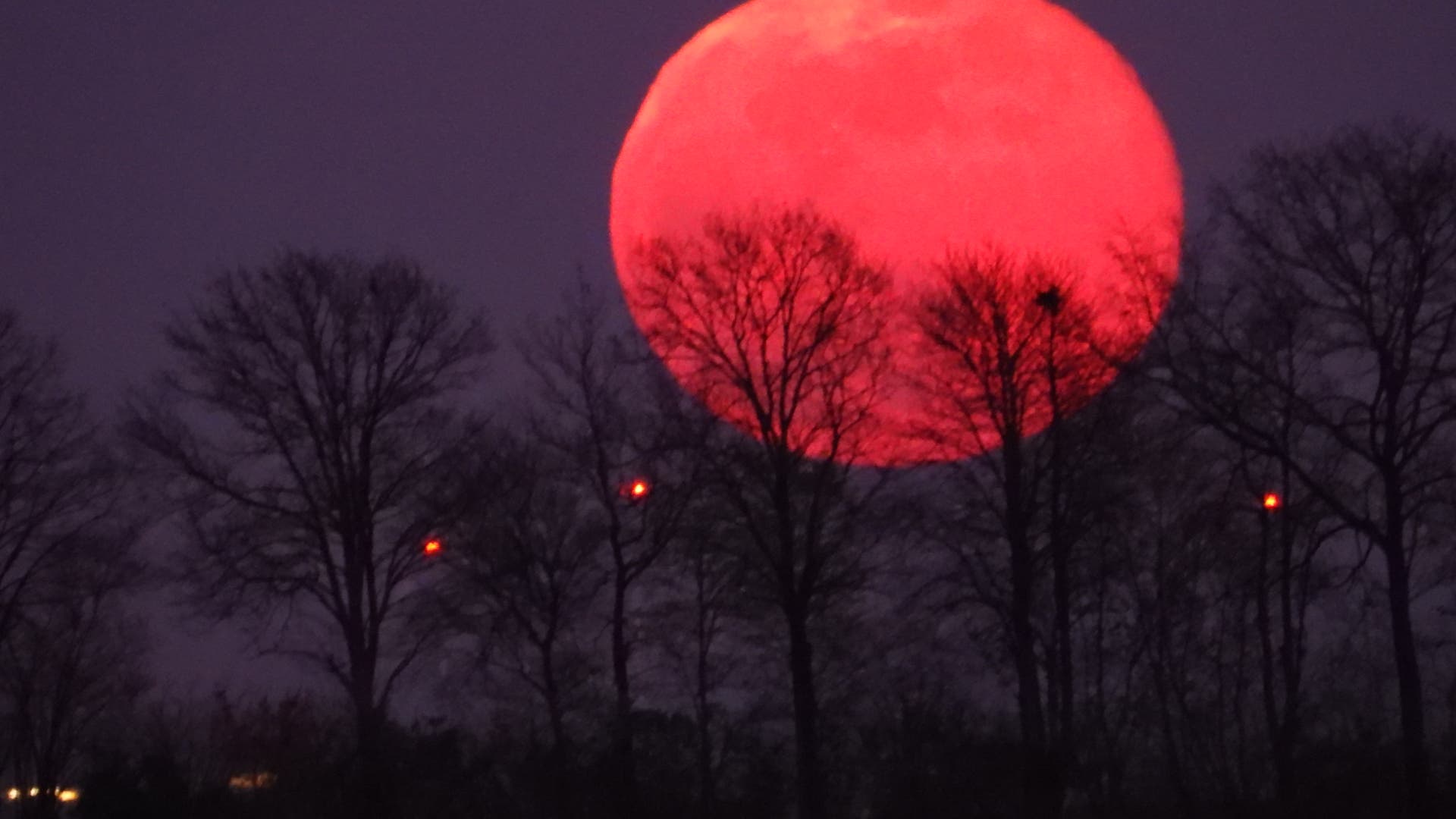 Pink SuperMoon Spektrum der Wissenschaft